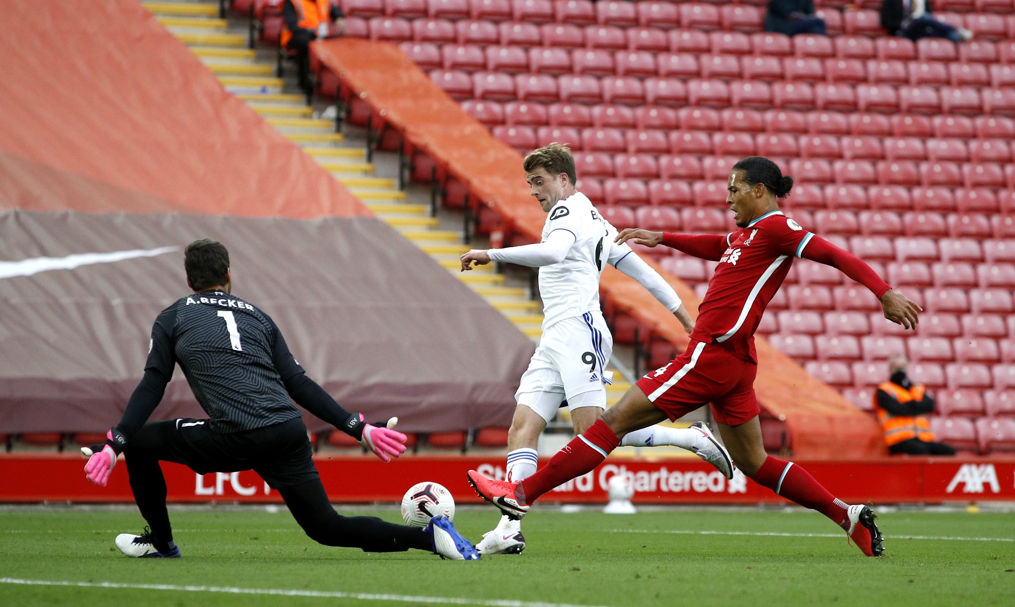 球迷们或许 球迷们或许